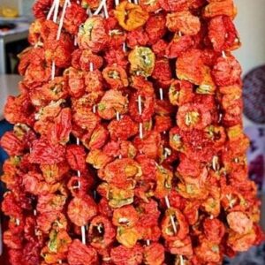 Doğal Kurutulmuş Dolmalık Biber (1ip 50 adet)