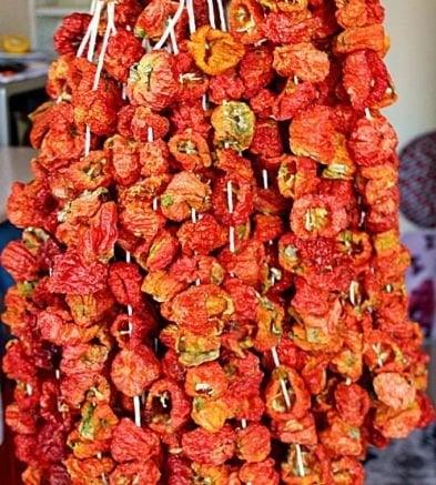 Doğal Kurutulmuş Dolmalık Biber (1ip 50 adet)